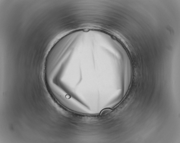 X0000112081379200908251055