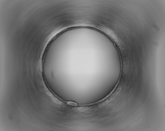 X0000112081380200908251055