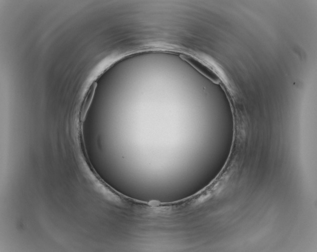 X0000112081381200908251055