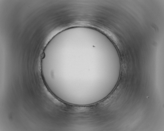 X0000112081382200908251055