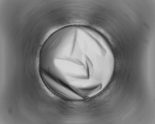 X0000112081383200908251055