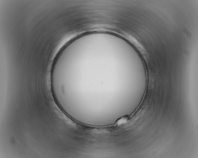 X0000112081384200908251055