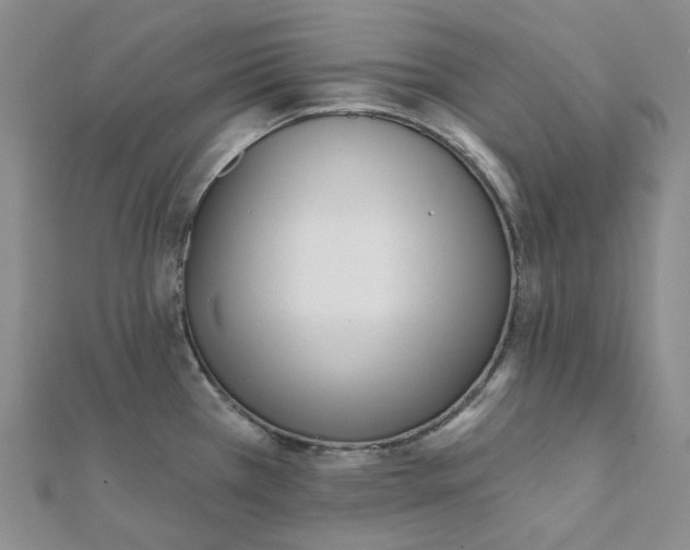 X0000112081385200908251054