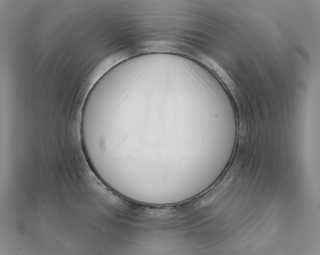 X0000112081386200908251054