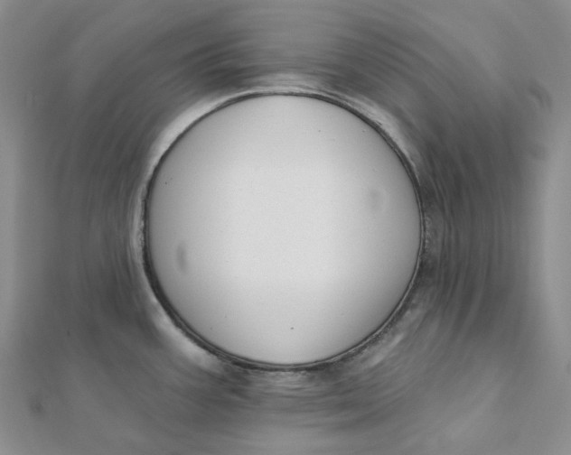 X0000112081387200908251054