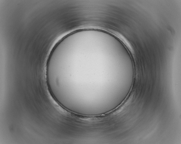 X0000112081388200908251054