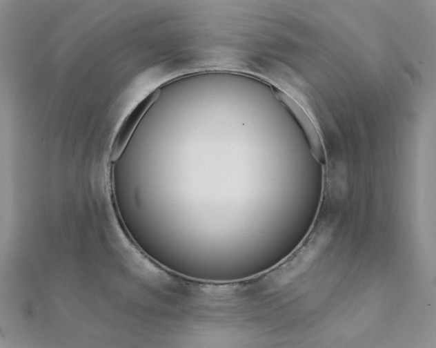 X0000112081389200908251054