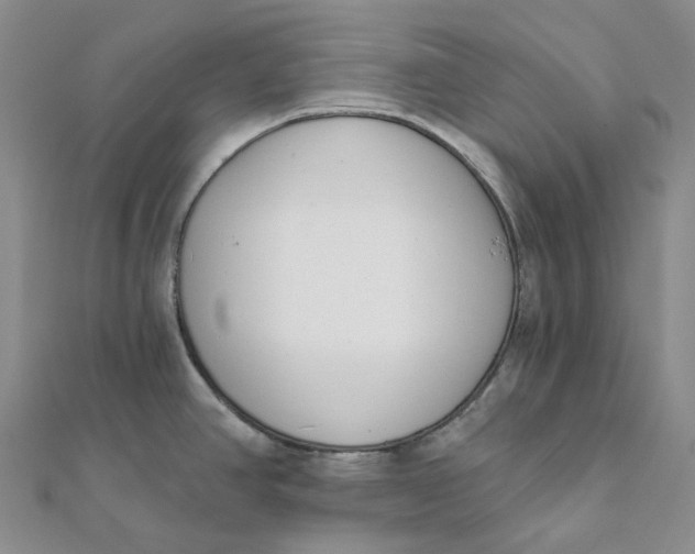 X0000112081390200908251054