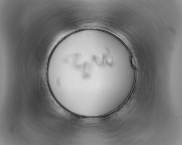 X0000112081392200908251054