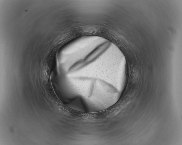 X0000112081394200908251054