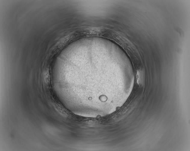 X0000112081395200908251054