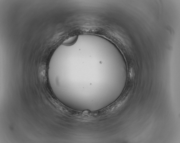 X0000112081396200908251054