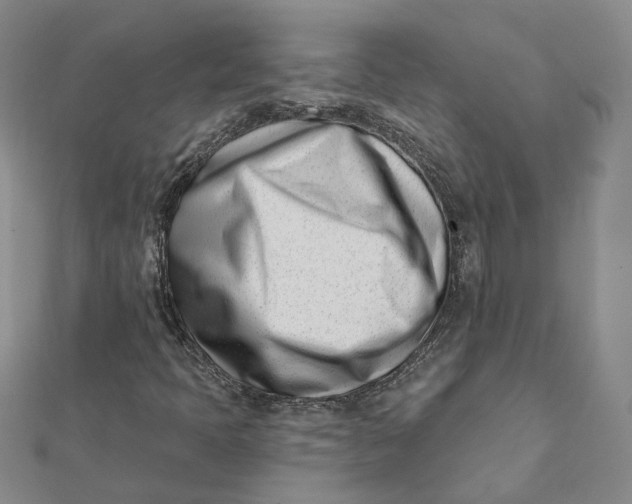 X0000112081397200908251054