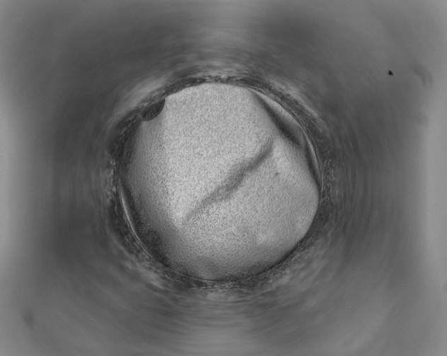 X0000112081399200908251054