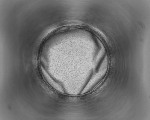 X0000112081407200908251054