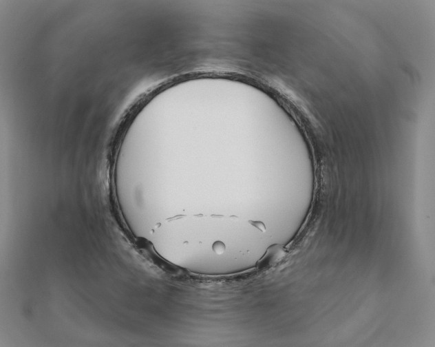 X0000112081408200908251054