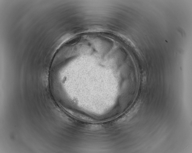 X0000112081409200908251054