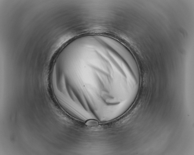 X0000112081410200908251054