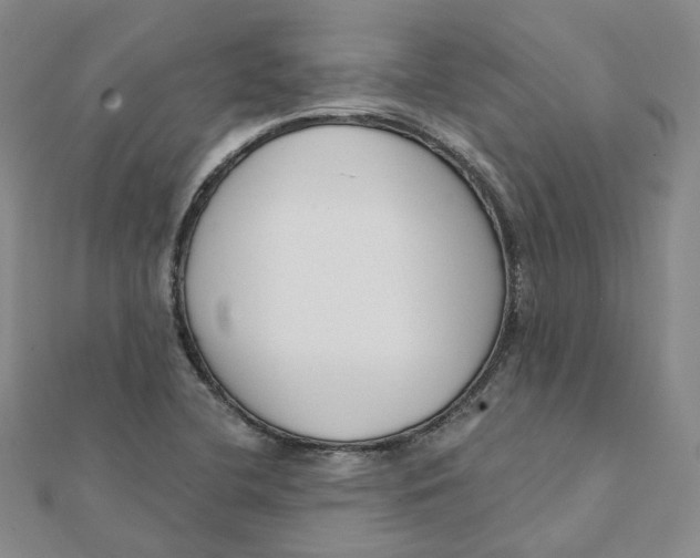 X0000112081412200908251054