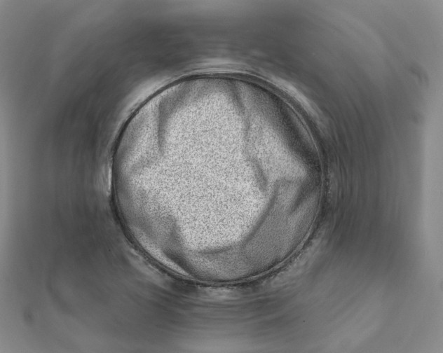 X0000112081413200908251054