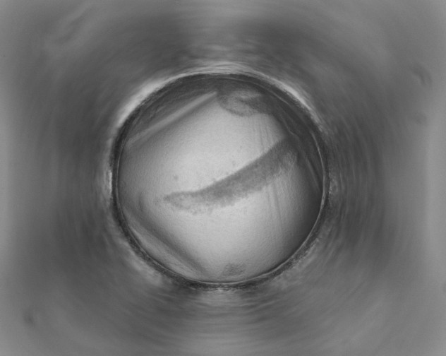 X0000112081414200908251054