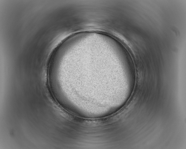 X0000112081415200908251054