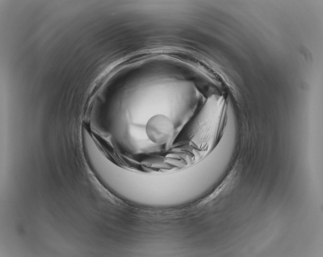 X0000112081417200908251054