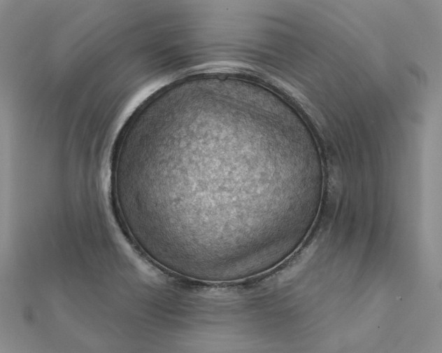 X0000112081418200908251054