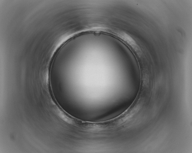 X0000112081420200908251054