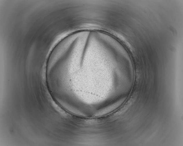 X0000112081421200908251054