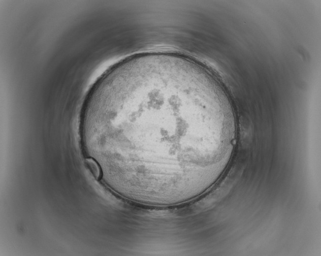 X0000112081422200908251054