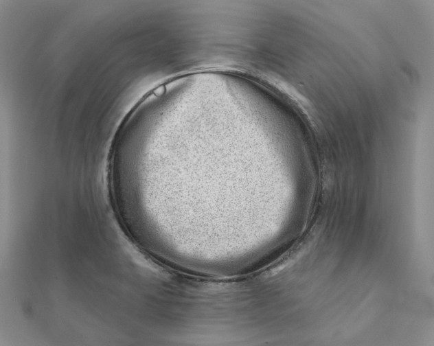 X0000112081423200908251054