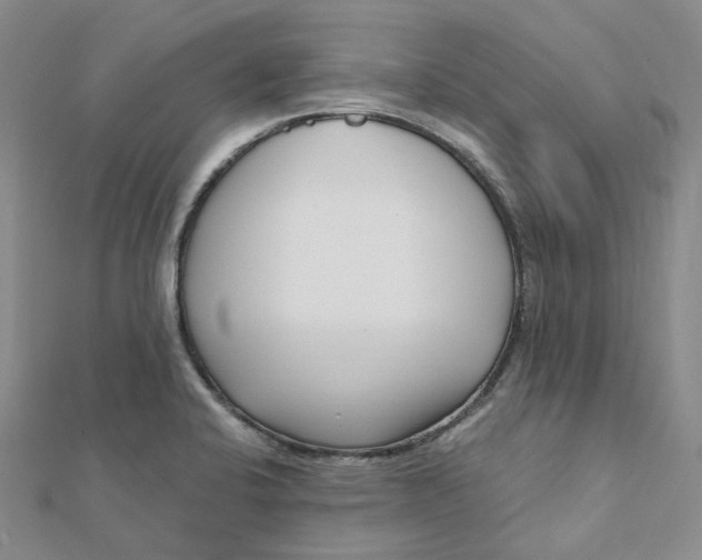 X0000112081424200908251054