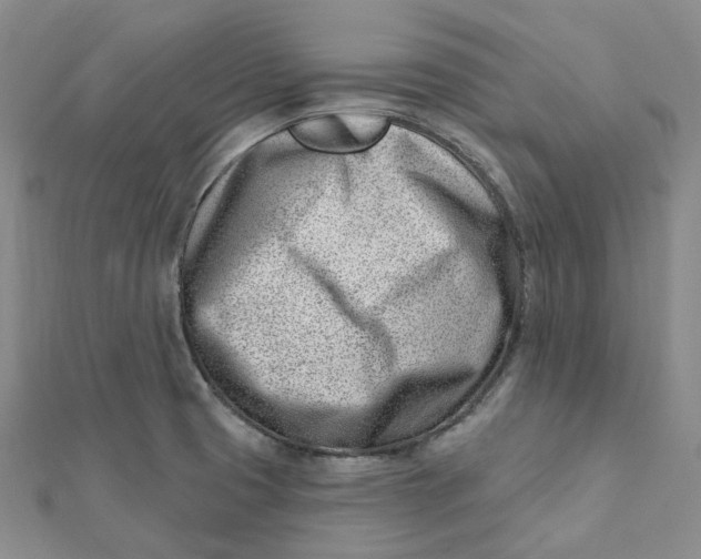 X0000112081425200908251054