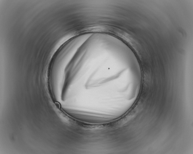 X0000112081426200908251054