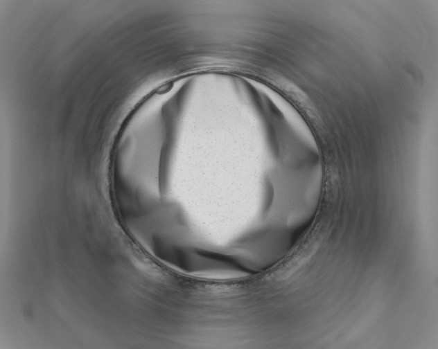 X0000112081427200908251054