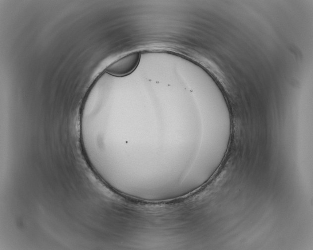 X0000112081428200908251054