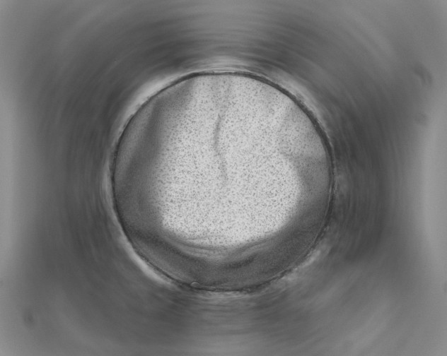 X0000112081429200908251054