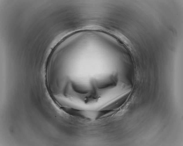 X0000112081430200908251054