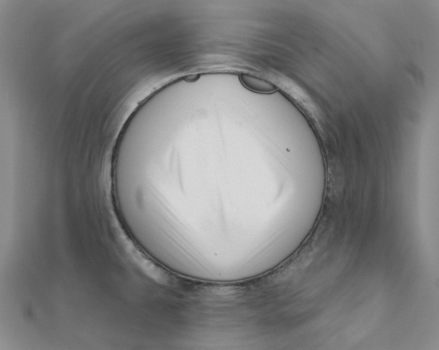 X0000112081431200908251054