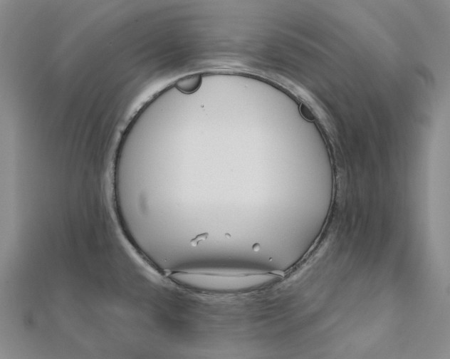 X0000112081432200908251054