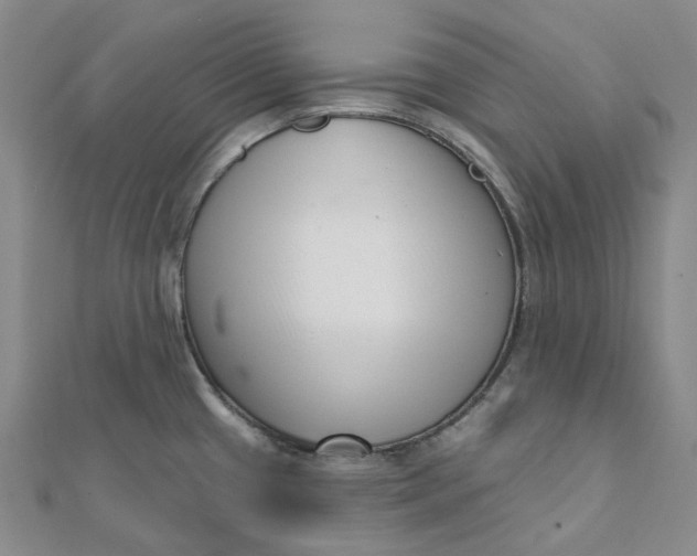 X0000112081433200908251054