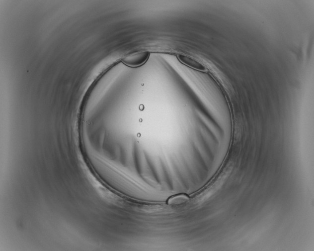 X0000112081434200908251054