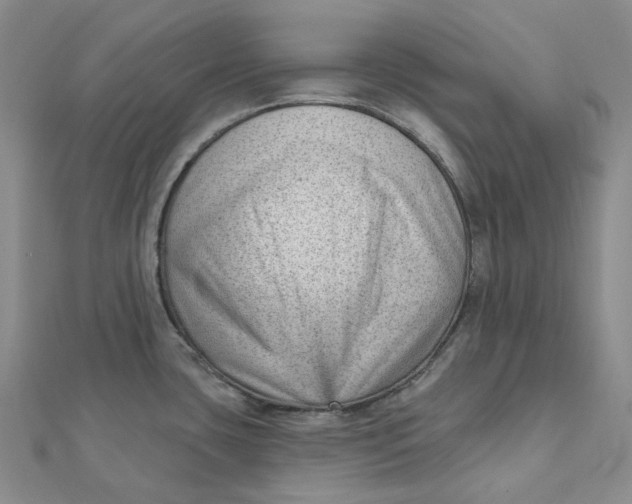 X0000112081435200908251054