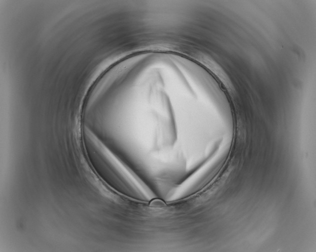 X0000112081436200908251054