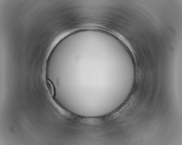 X0000112081437200908251054