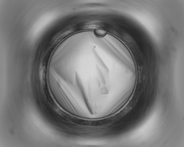 X0000112081438200908251054