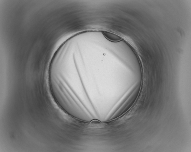 X0000112081440200908251054