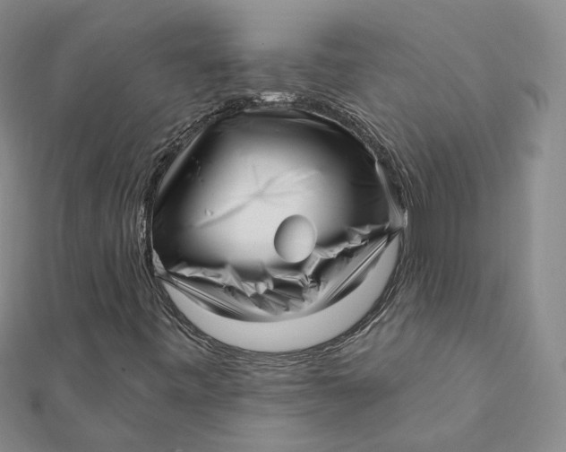 X0000112081443200908251054