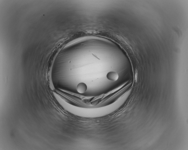 X0000112081444200908251054